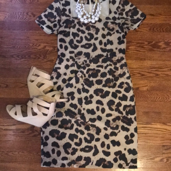 Banana Republic Dresses & Skirts - Banana Republic animal print dress, 8